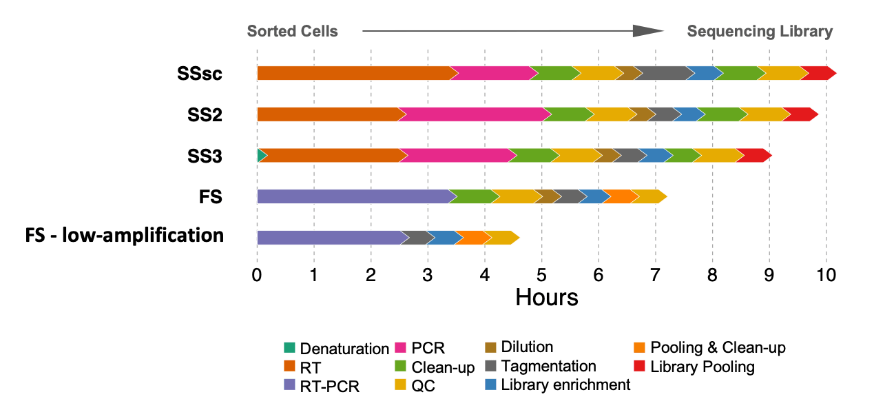 What Is Flash Seq - High Resolution Light Designs for Desktop